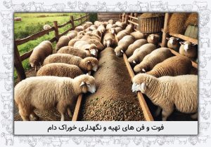 روش های نگهداری خوراک دام