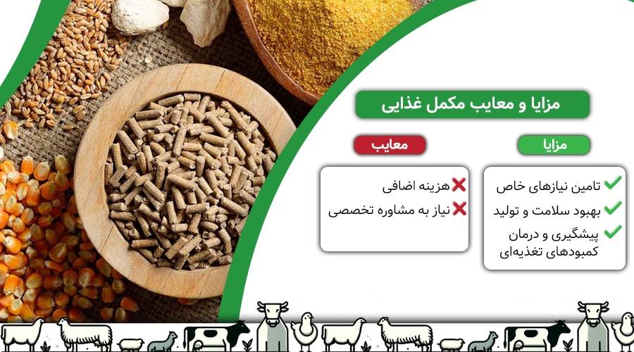 مزایا و معایب مکمل های غذایی