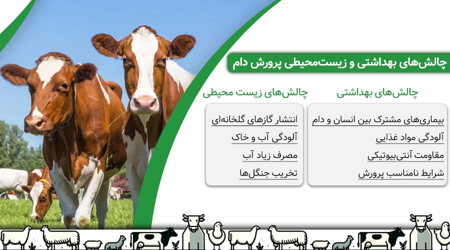 چالش های بهداشتی و زیست محیطی پرورش دام