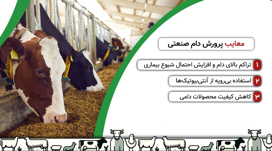 معایب پرورش دام صنعتی