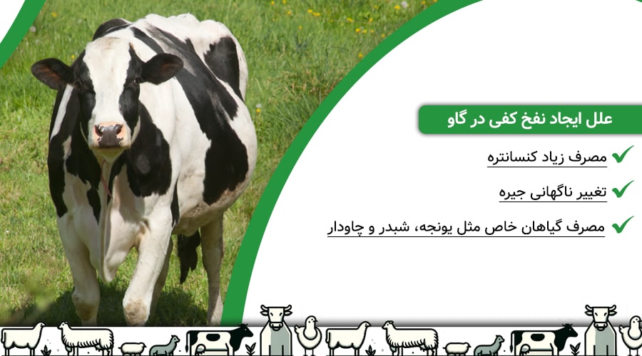 علل ایجاد نفخ کفی