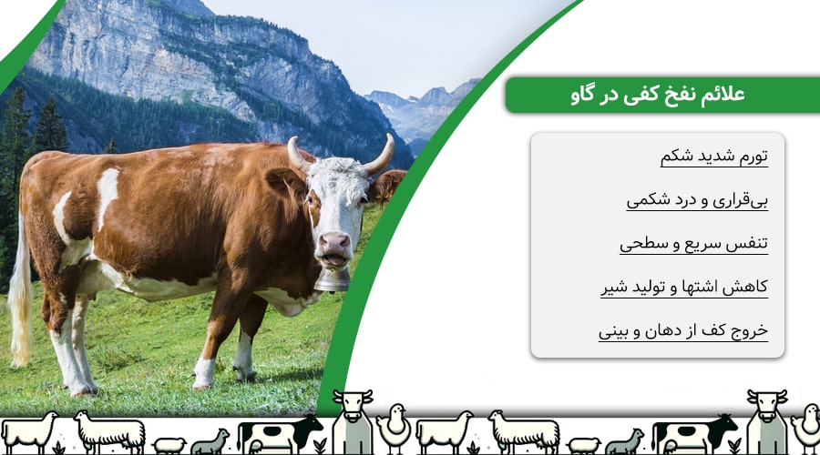 علائم نفخ کفی