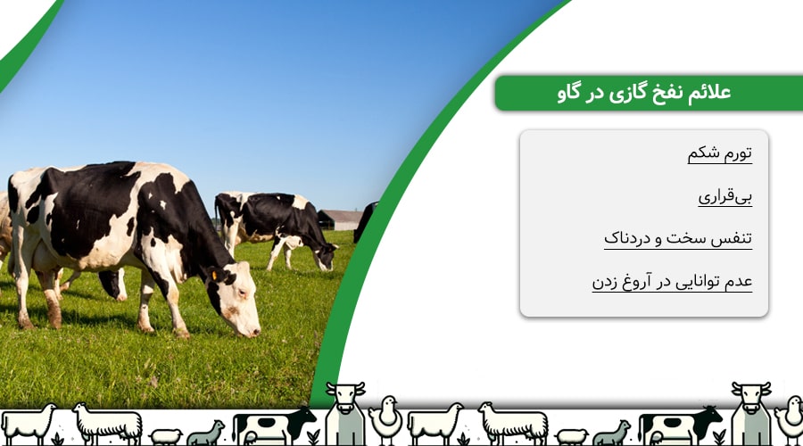 علائم ایجاد نفخ گازی