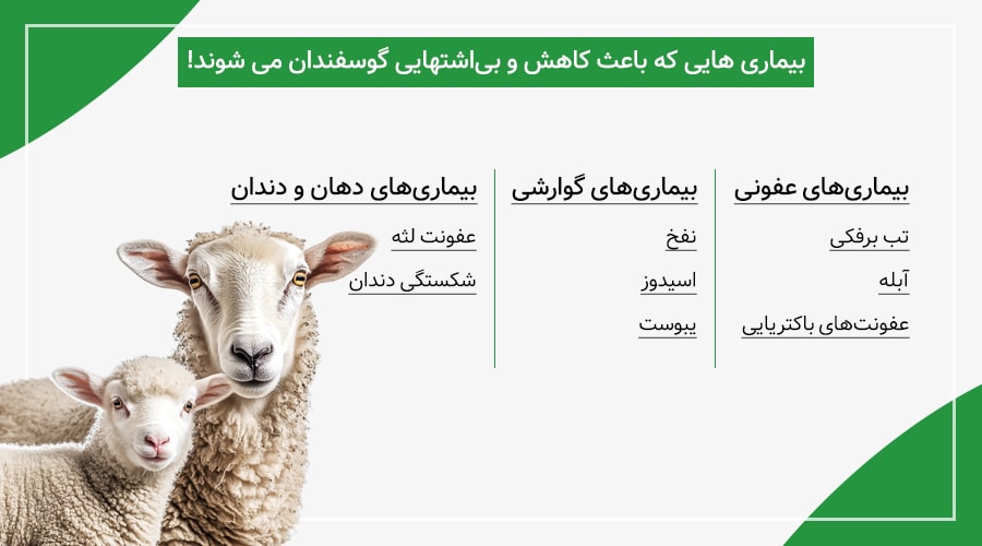 بیماری‌های مختلفی که می‌توانند باعث کاهش و بی‌اشتهایی گوسفندان شوند