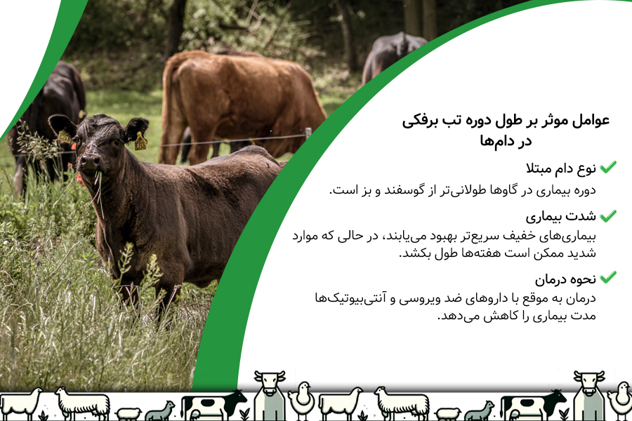 تب برفکی چند روز طول میکشد؟ - سریعترین راه کوتاه کردن این دوره 1 تب برفکی چند روز طول میکشد؟ - سریعترین راه کوتاه کردن این دوره - 1