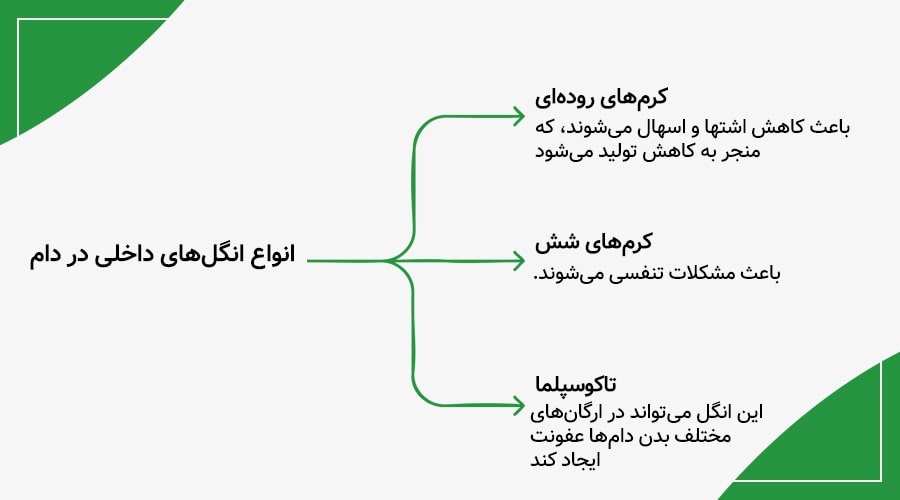 انگل‌های داخلی شایع در دام