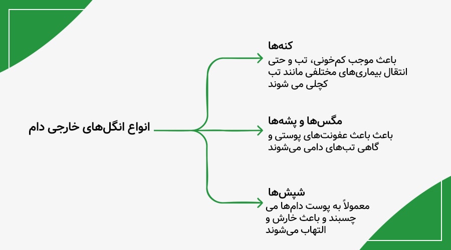 انگل‌های خارجی شایع در دام