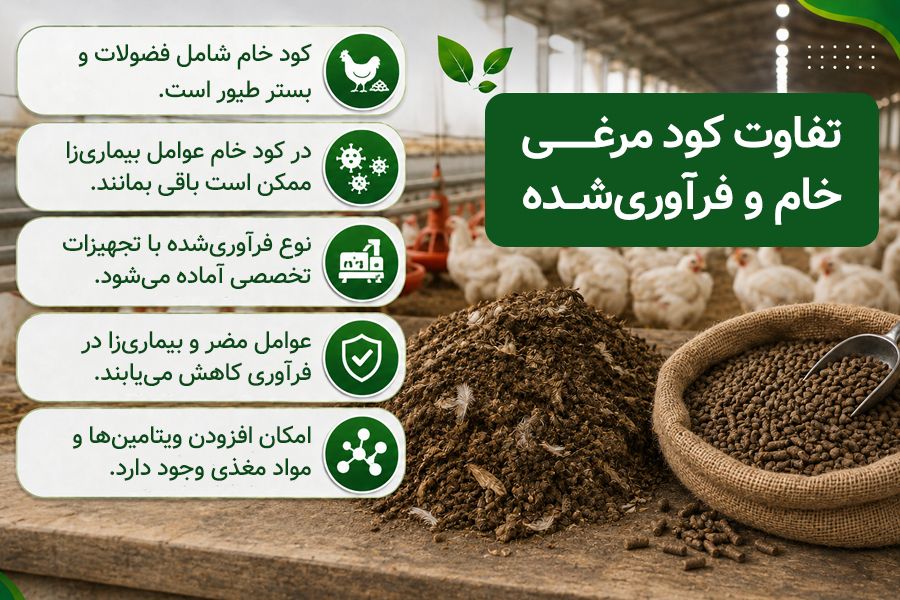 کود مرغی برای دام؛ انتخاب خوراک مناسب برای دام 1 نفاوت کود مرغی خام و فرآوری شده