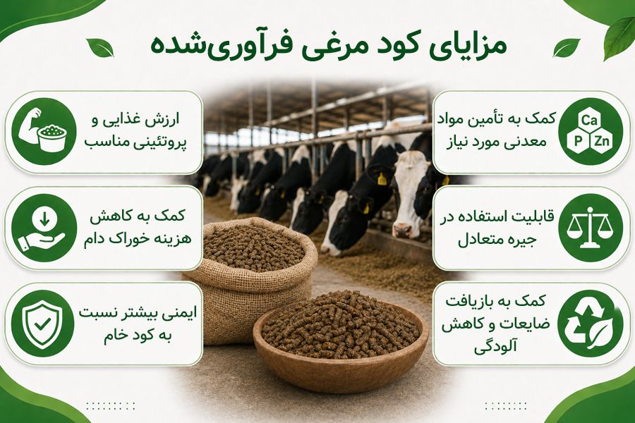 کود مرغی برای دام؛ انتخاب خوراک مناسب برای دام 2 مزایای کود مرغی فرآوری شده