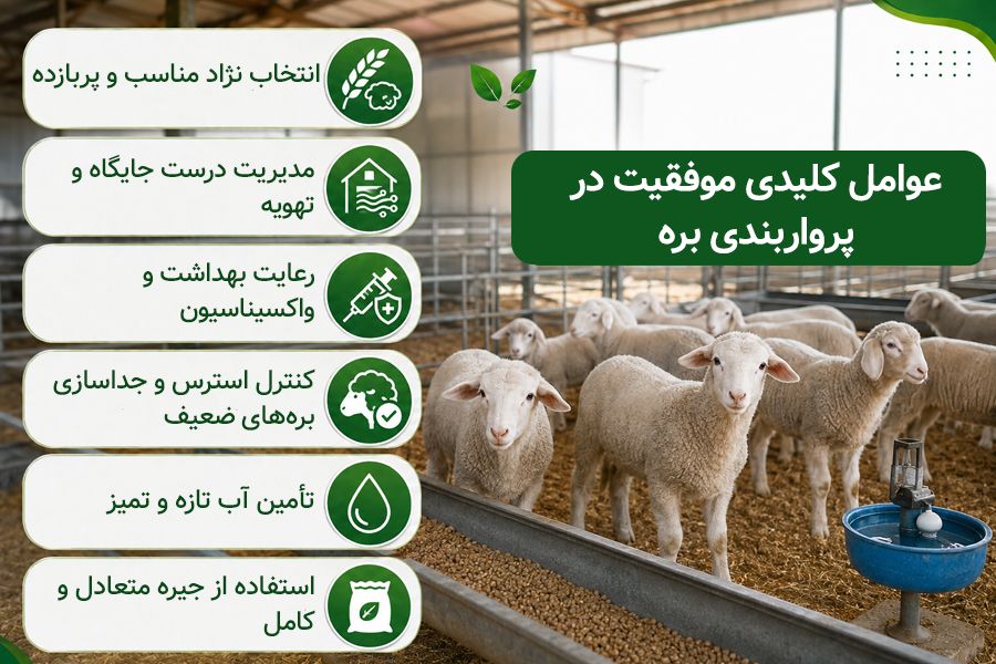 فرمول خوراک بره پرواری 3 پرورار بندی بره