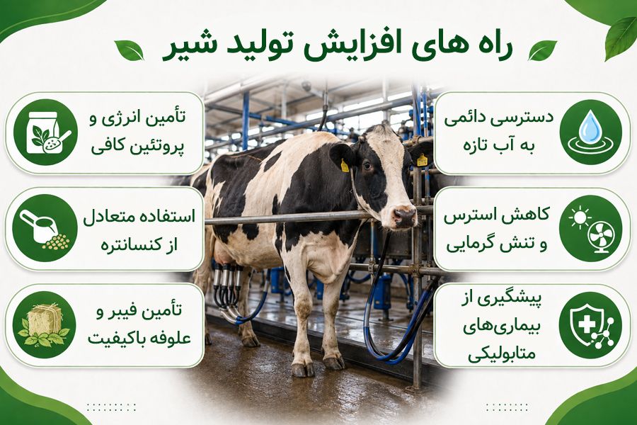 راه های افزایش تولید شیر