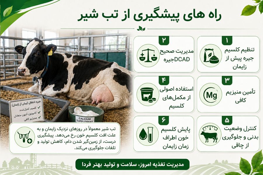 راه های جلوگیری از تب شیر چیست؟