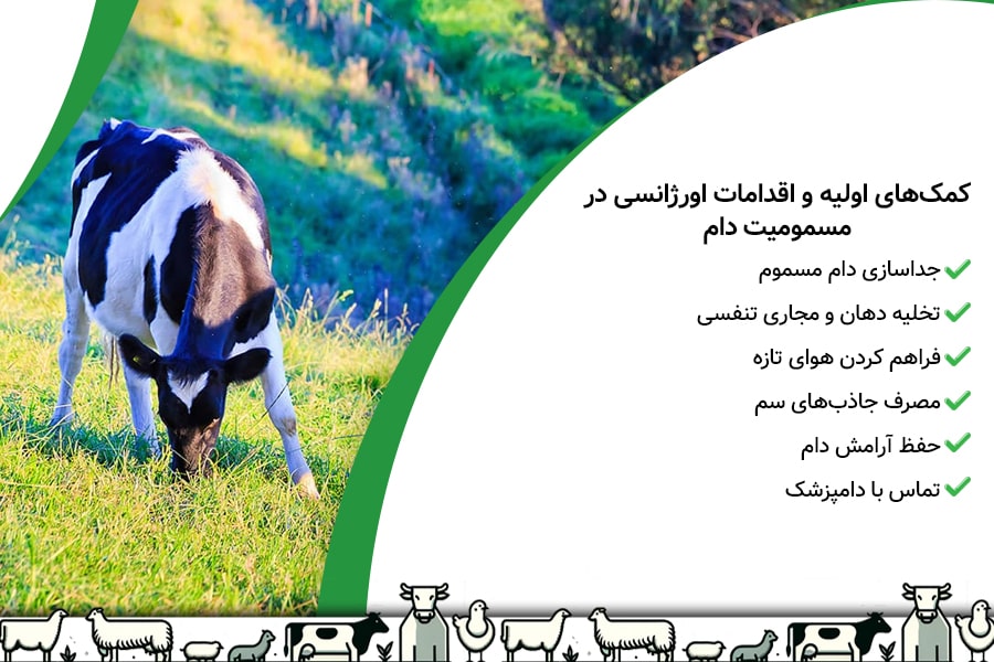 راه های مقابله با مسمومیت دام ها 3 راه های مقابله با مسمومیت دام ها - 3