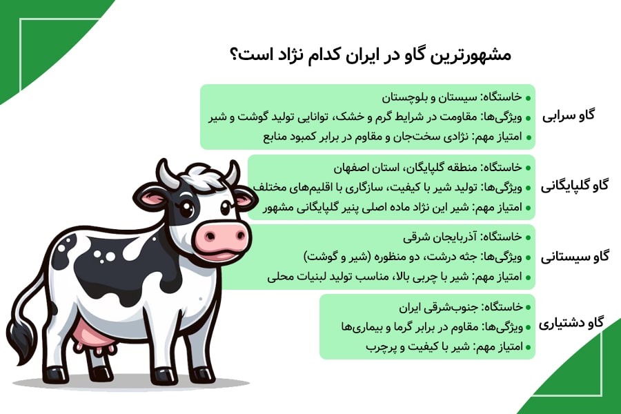 معرفی مشهورترین گاوها در جهان و ایران؛ نگاهی به نژادهای شیری و گوشتی 2 معرفی مشهورترین گاوها در جهان و ایران؛ نگاهی به نژادهای شیری و گوشتی - 2