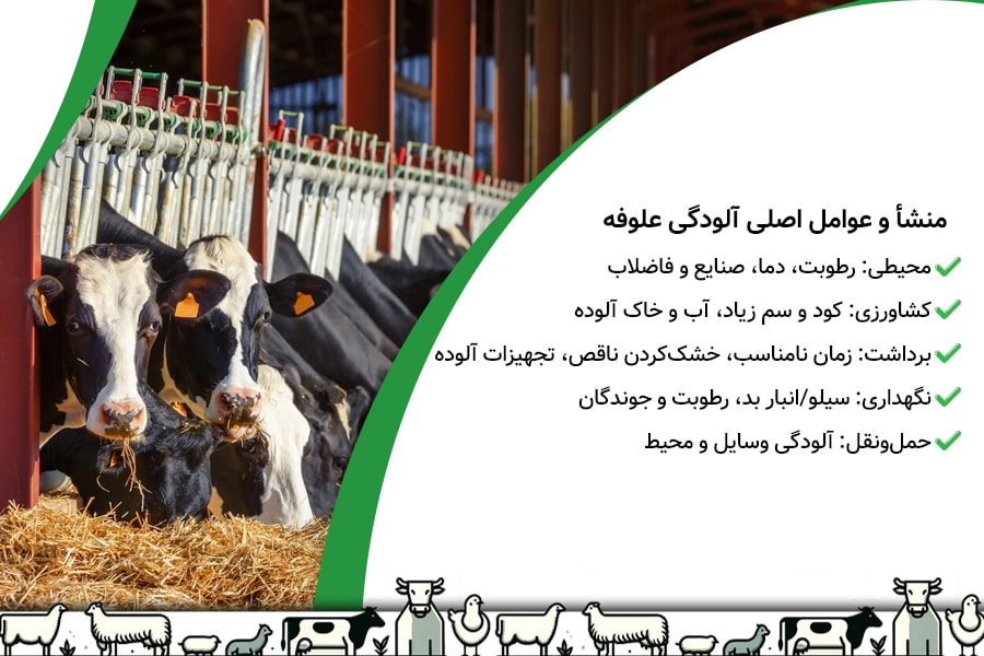 خطرات خوردن علوفه آلوده برای دام 3 خطرات خوردن علوفه آلوده برای دام - 3