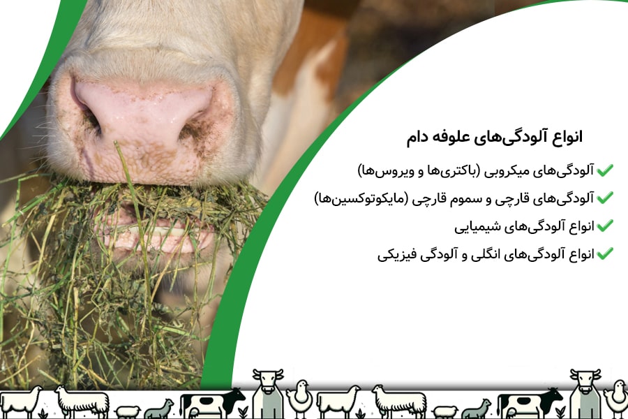 خطرات خوردن علوفه آلوده برای دام 1 خطرات خوردن علوفه آلوده برای دام - 1
