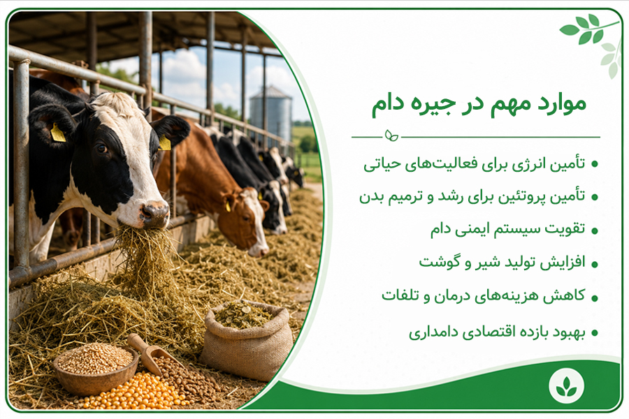 تهیه جیره غذایی دام