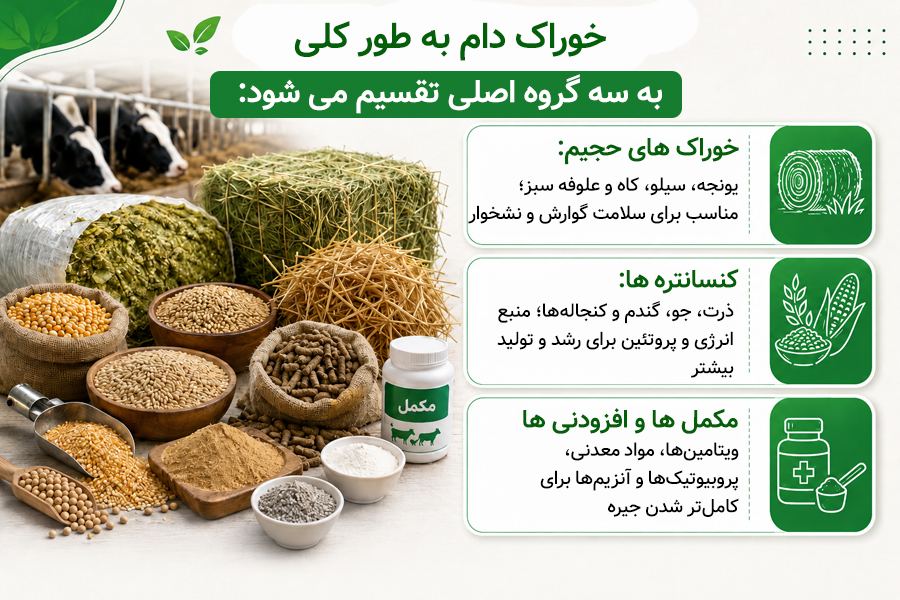 تقسیم بندی خوراک دام