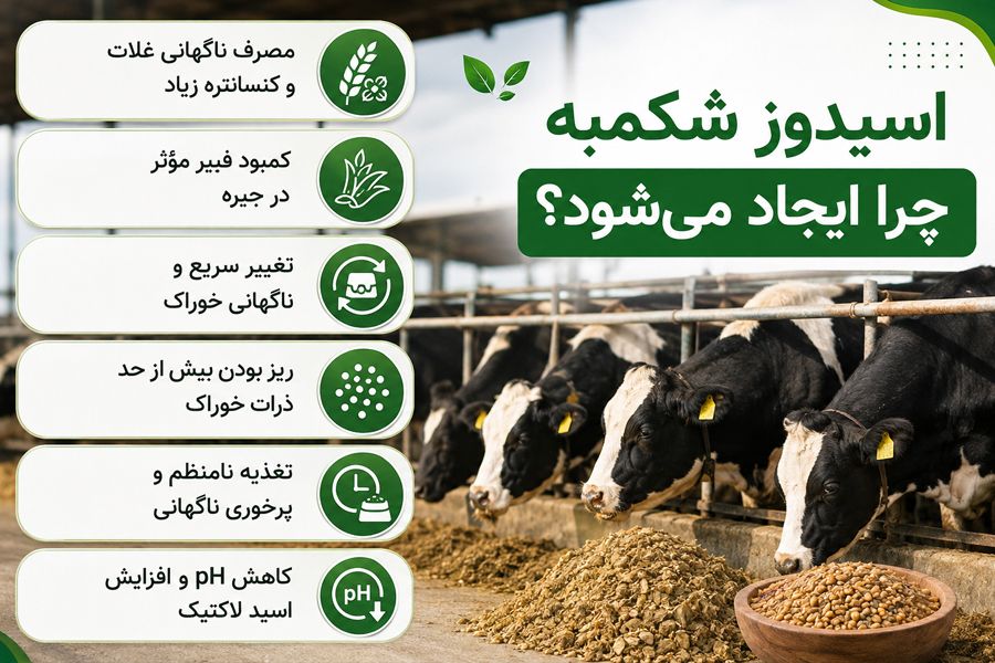 اسیدوز شکمبه