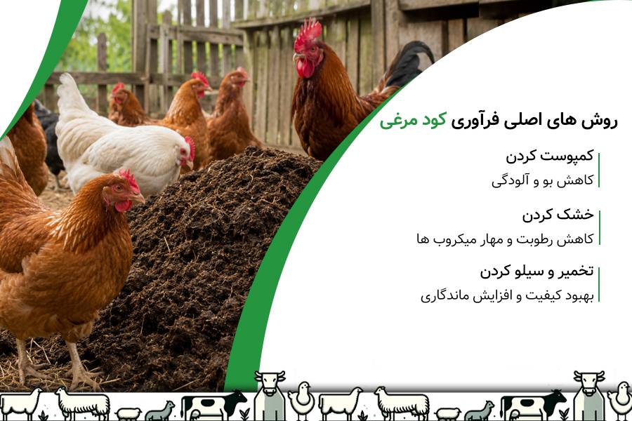 کود مرغی چیست؟ نحوه استفاده از کود مرغی در صنعت دامپروری 3 روش های اصلی تهیه کود مرغی فرآوری شده
