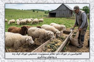 آفلاتوکسین در خوراک دام